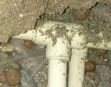 楚雄测漏水多少钱